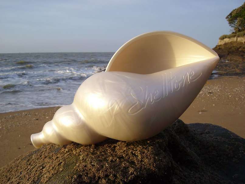 Photograph of a shellfish marked Shelltone on a beach