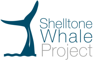 logo-shelltone-whale-projetc-guadeloupe logo-shelltone-whale-projetc-guadeloupe