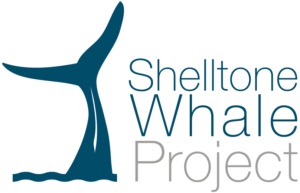 logo-shelltone-whale-projetc-guadeloupe