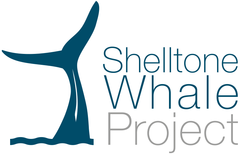 Shelltone Whale Project