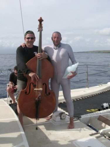musique-baleines-1