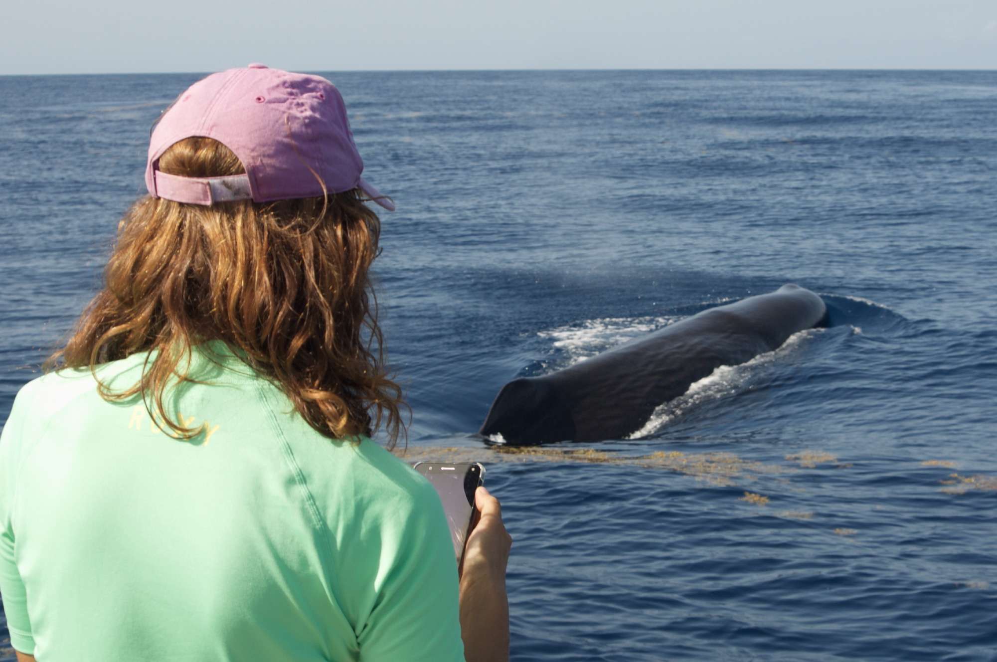 shelltone-whale-project-guadeloupe-shallop-near-boat-027