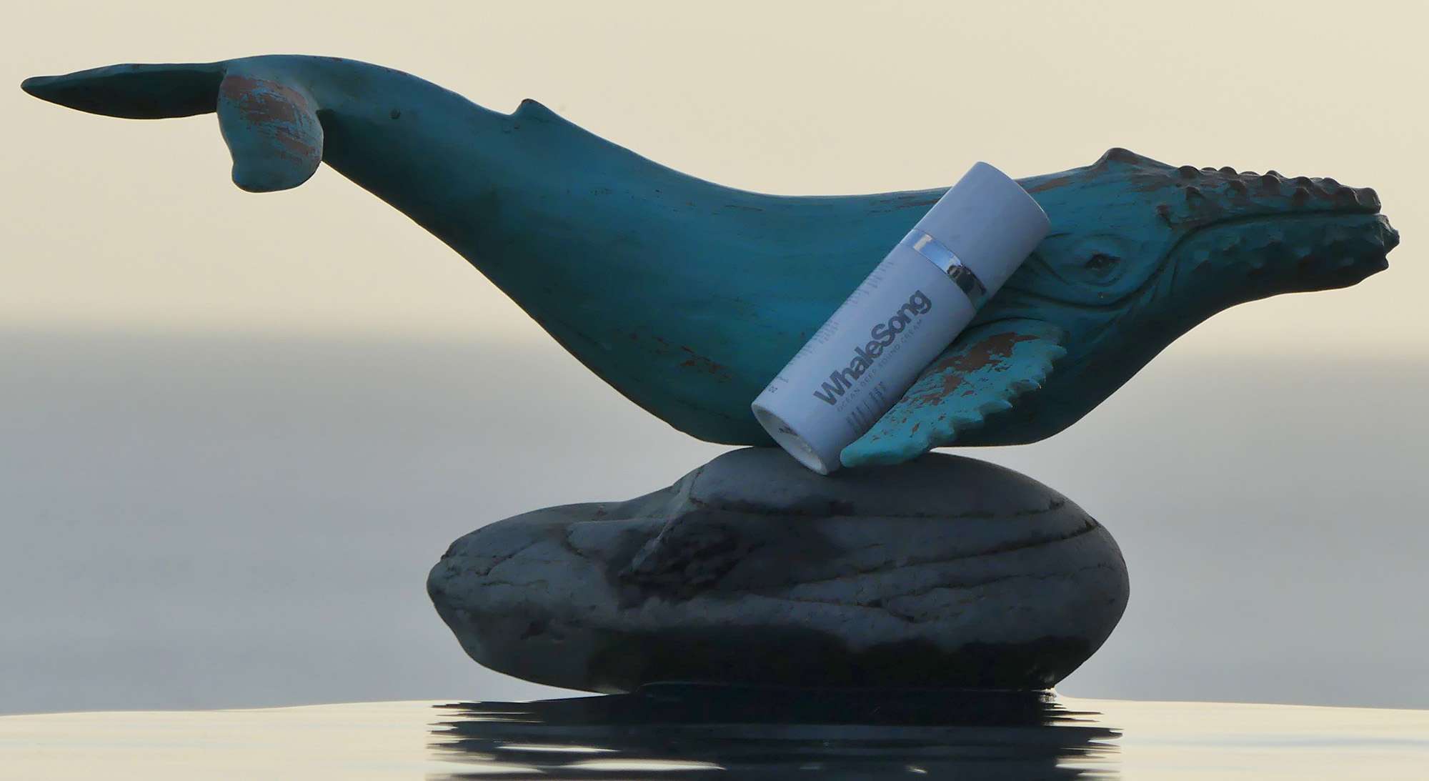 whale-song-cream-HD-04