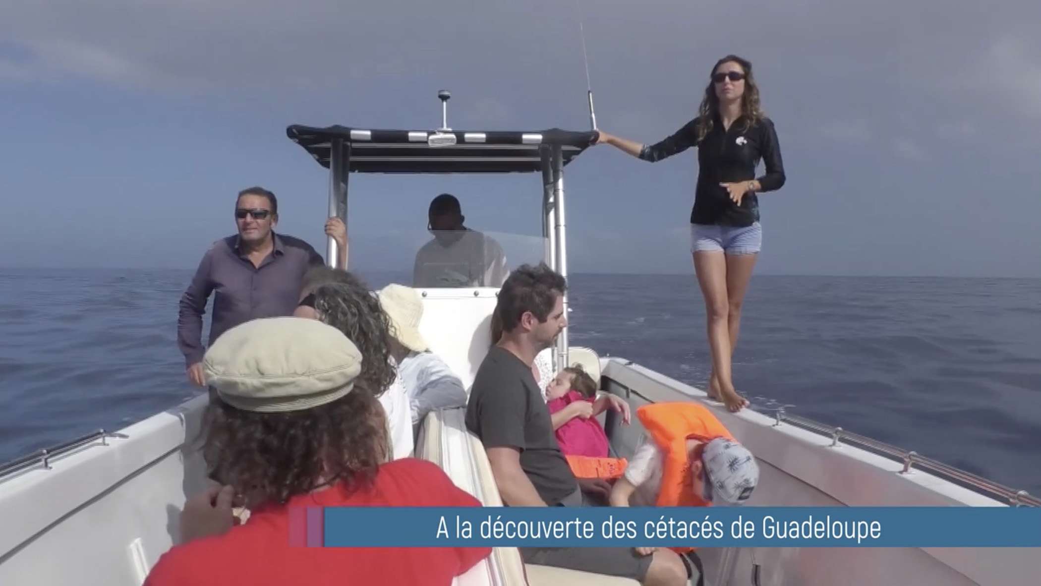 reportage tv shelltone 1 1