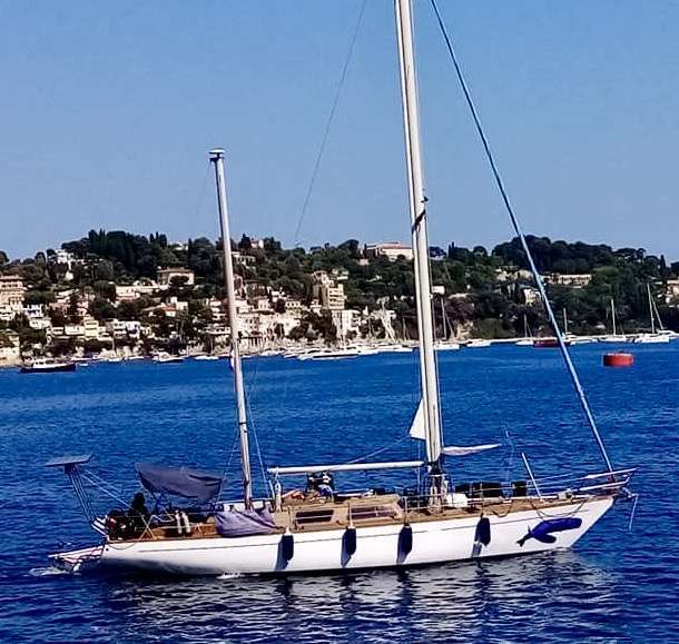 Avistamiento de ballenas y delfines en velero en Niza Costa Azul