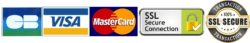 Carte bancaire Visa MasterCard Sécurisée Logo attestant les paiements par cartes bancaires Visa MasterCard