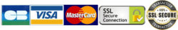 Logo certifying payment by Visa MasterCard bank cards