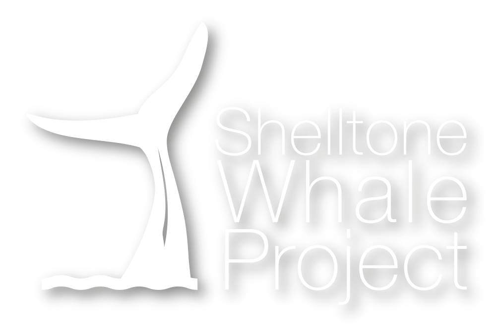 Shelltone Whale Project logo Cola de ballena en el agua