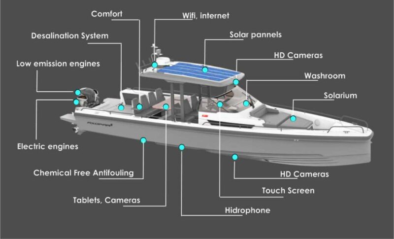 Descripción técnica del barco l'Esiel - Shelltone Whale Project para observar cetáceos en Tenerife