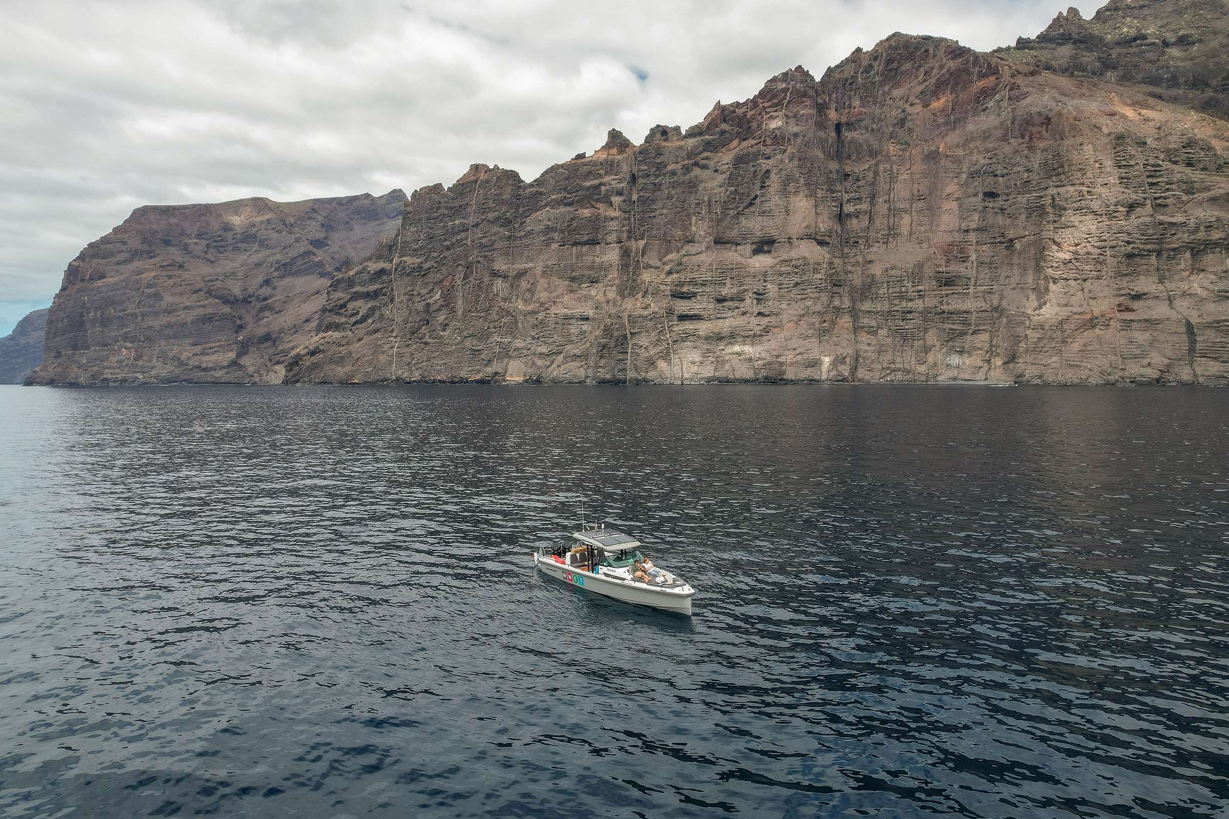 Photograph of a dolphin watching in Tenerife with Shelltone Whale Project