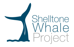 logo-shelltone-bacis_2