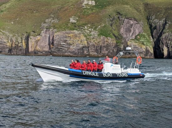 Dingle 5