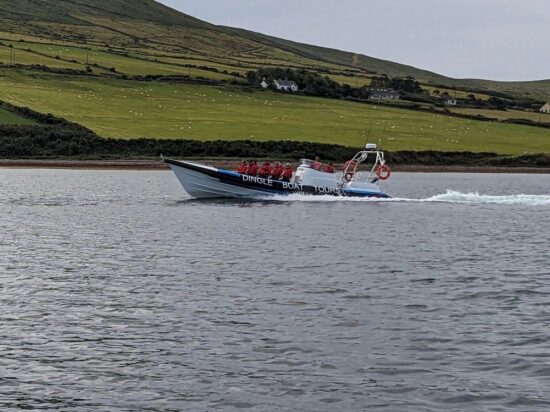 Dingle 6
