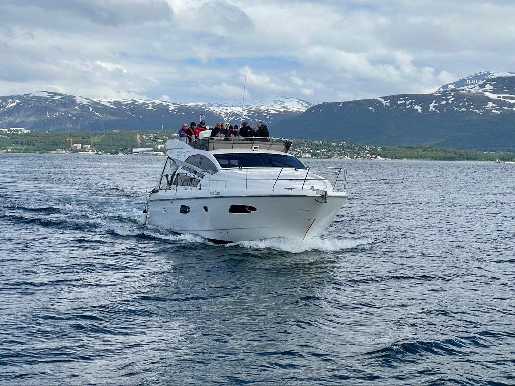 Shelltone-whale-Tromso Shelltone-whale-Tromso