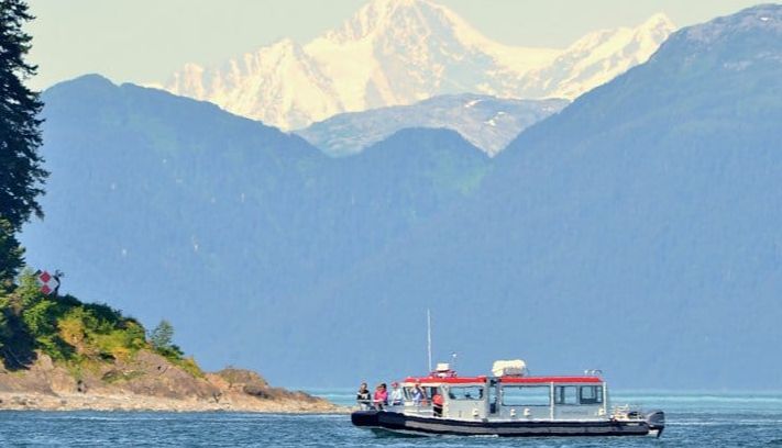 Shelltone-whale-hoonah Shelltone-whale-hoonah