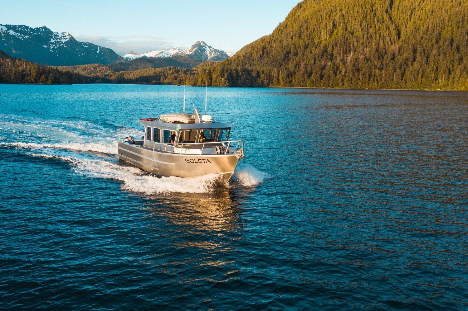 Shelltone-whale-sitka Shelltone-whale-sitka
