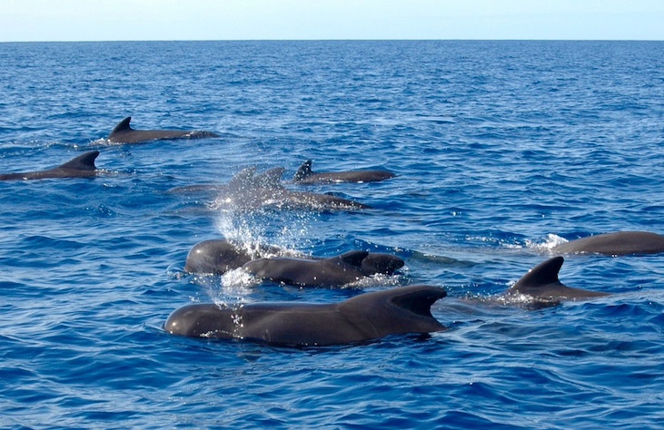 Madeira