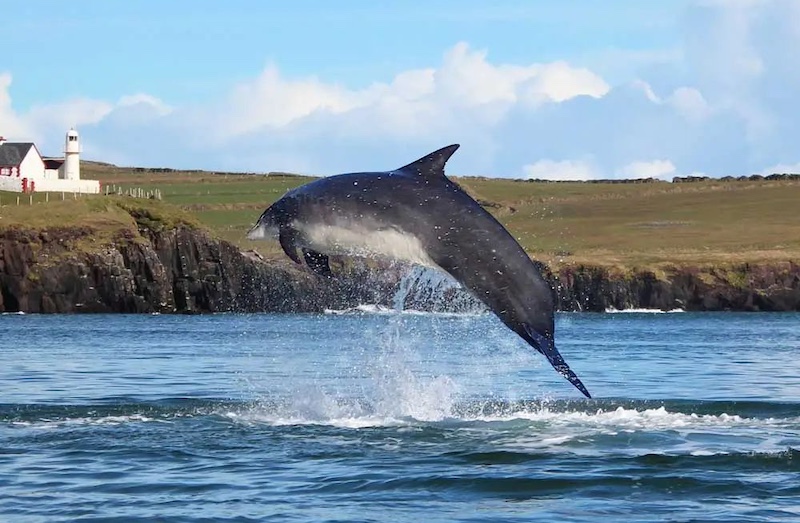 Dingle, Ireland