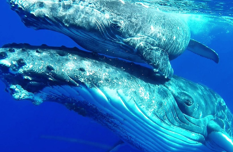 Kona, Hawaii