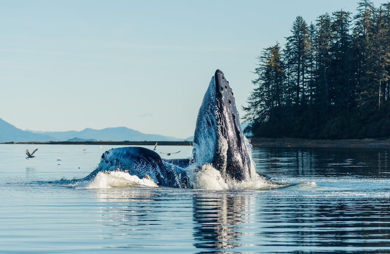 Sitka, Alaska