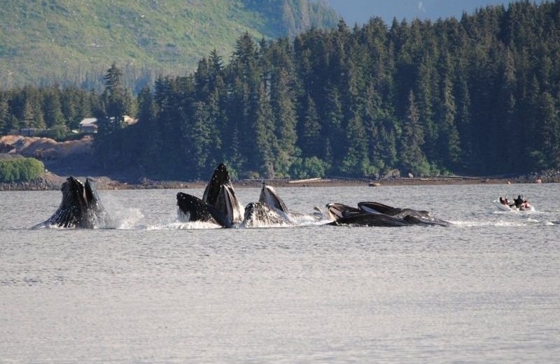 Hoonah, Alaska 