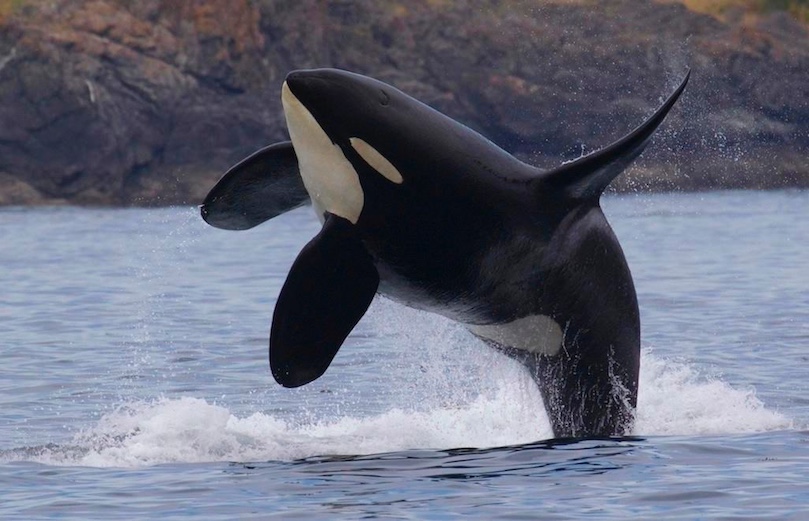 Vancouver Island, BC
