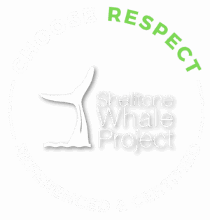 lgog-SWP-respect-1-LD