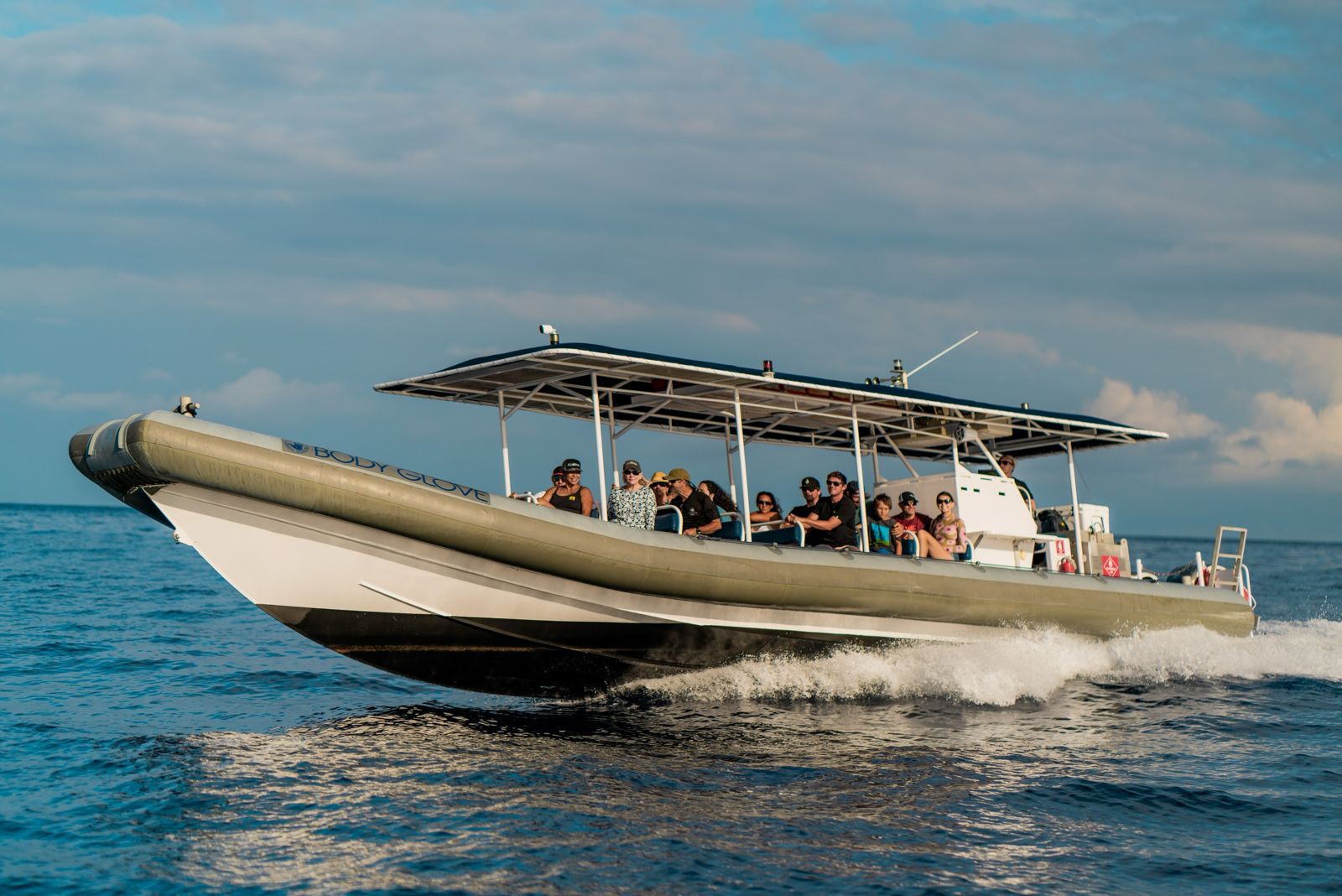 Kona-whalewatching-1