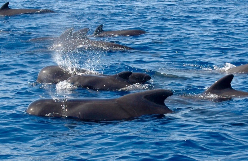 La Gomera