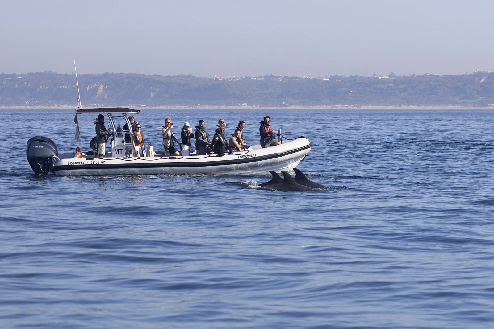 Lisbonne-whalewatching-2