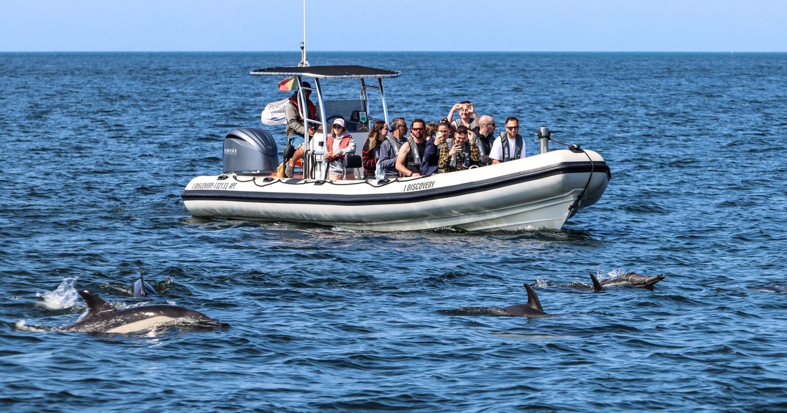 Lisbonne-whalewatching