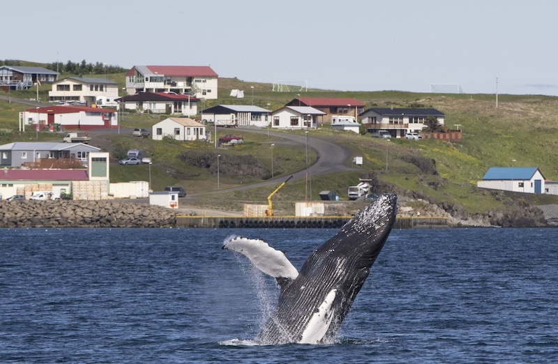 Holmavik, Islande