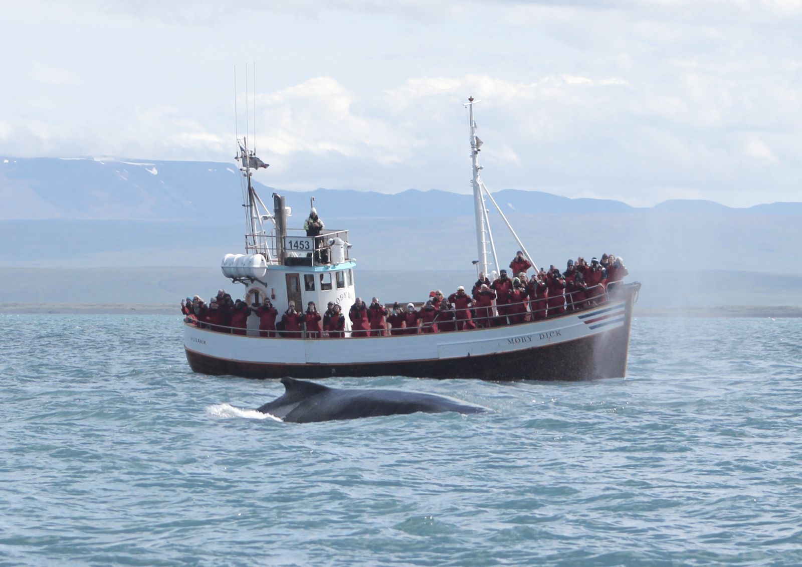 WhatsApp Image 2026-03-24 at 21.59.10 (1)