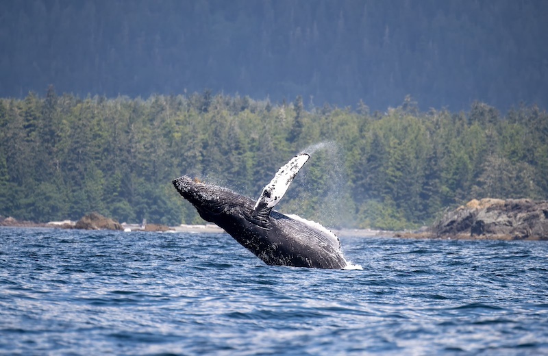 Vancouver Island, BC