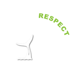 Choose Respect logo in white with transparent background