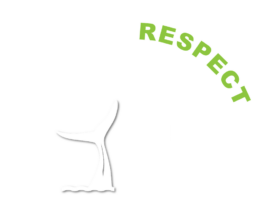 Logo-Shelltone-Whale-Choose-Respect