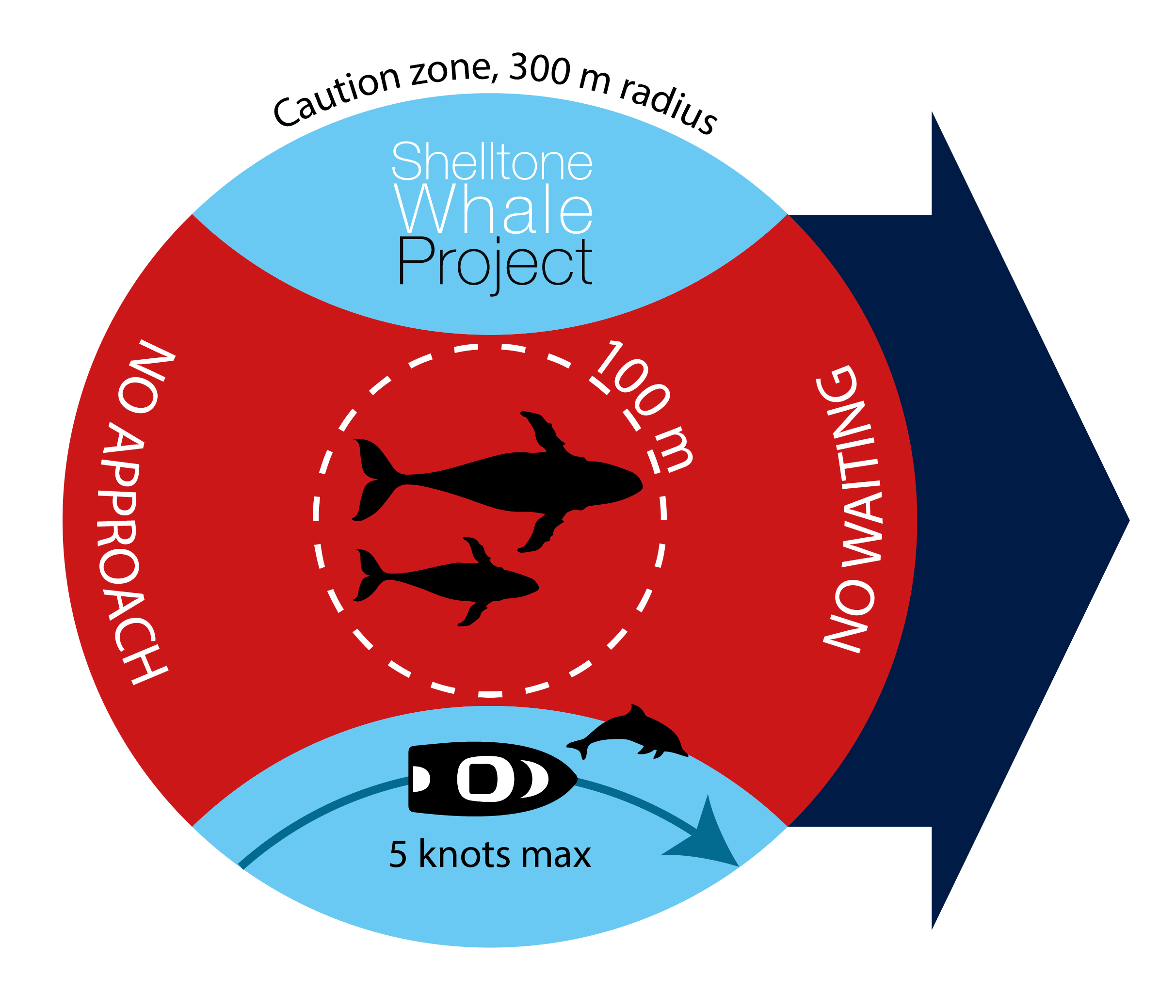 respectful-whale-watching-approach