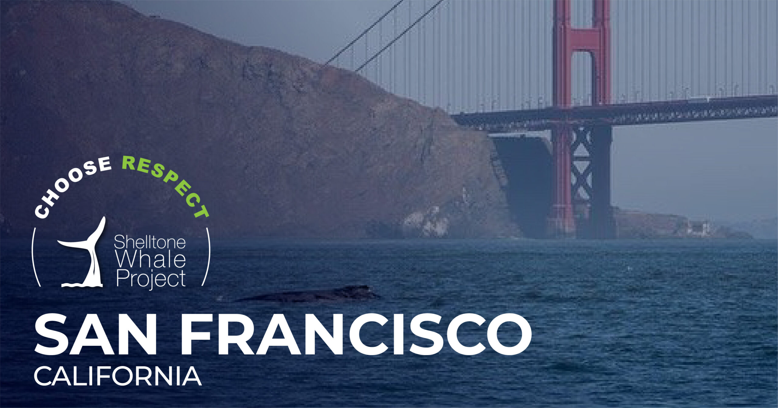 respectful-whalewatching-SAN-FRANCISCO