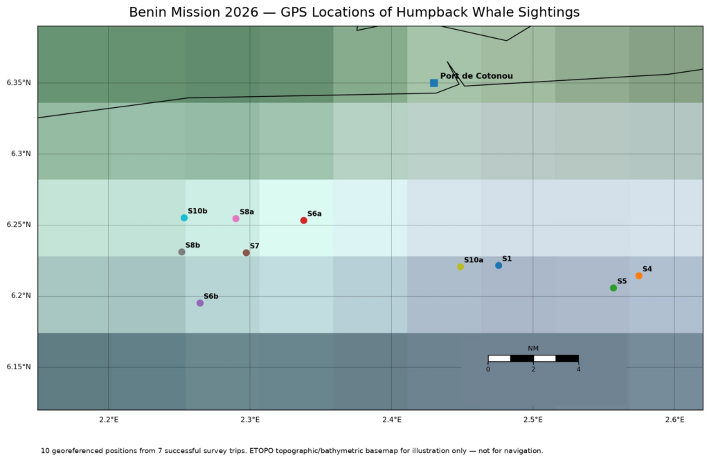 Whale Watching in Benin 2 Map of GPS-recorded humpback whale sightings off Cotonou, Benin, during the September 2026 Shelltone Whale Project mission.